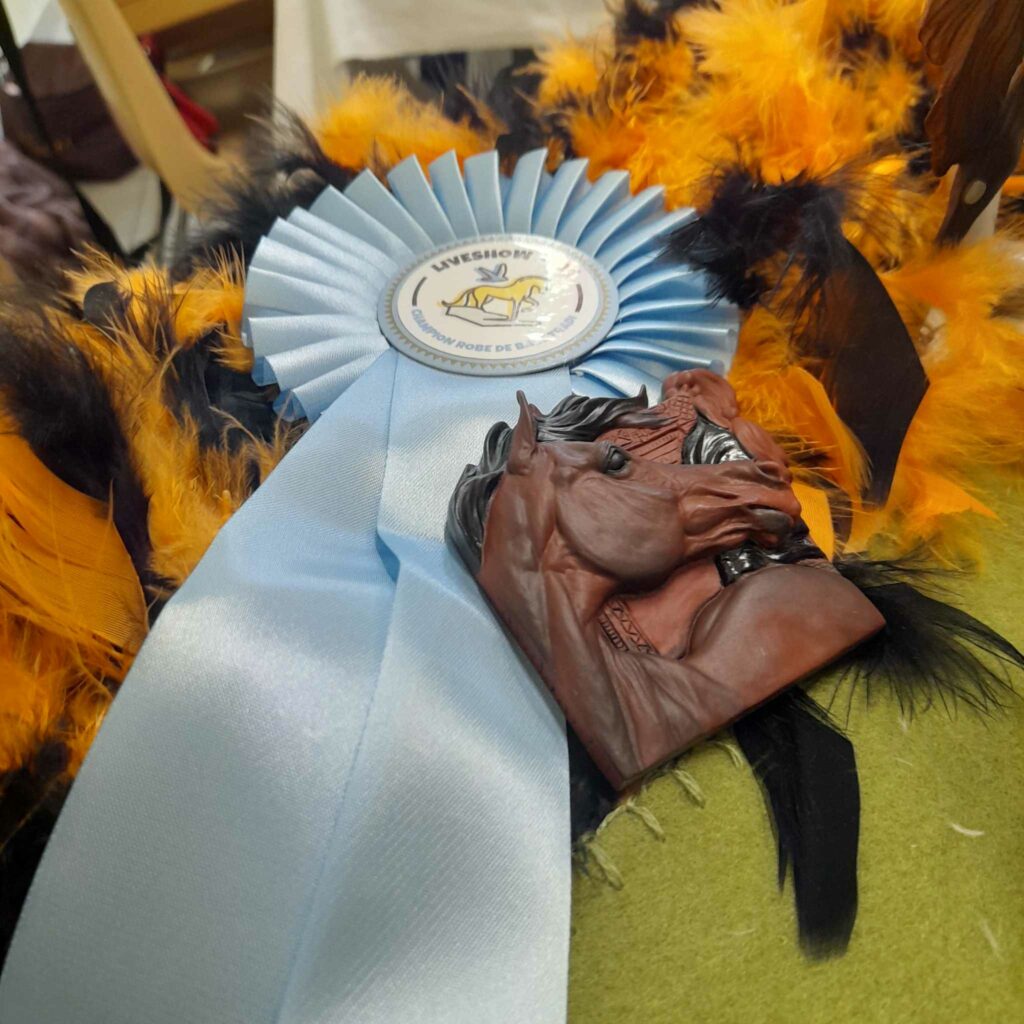 Flot et médaillon gagnés lors d'une liveshow de modélisme équin