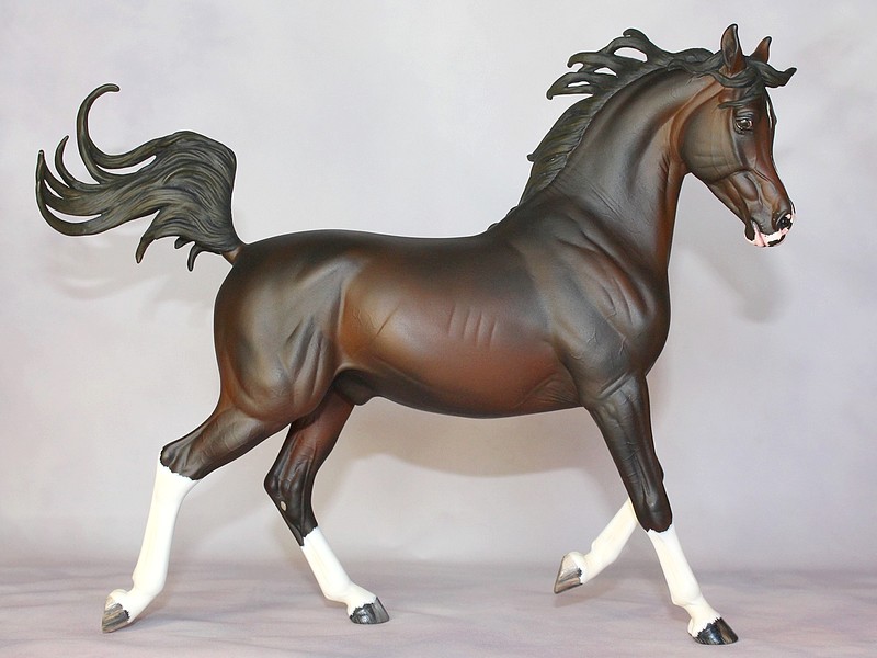 Cheval sur fond pour photoshow