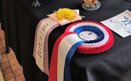 Flot gagné lors d'un liveshow de modélisme équin.