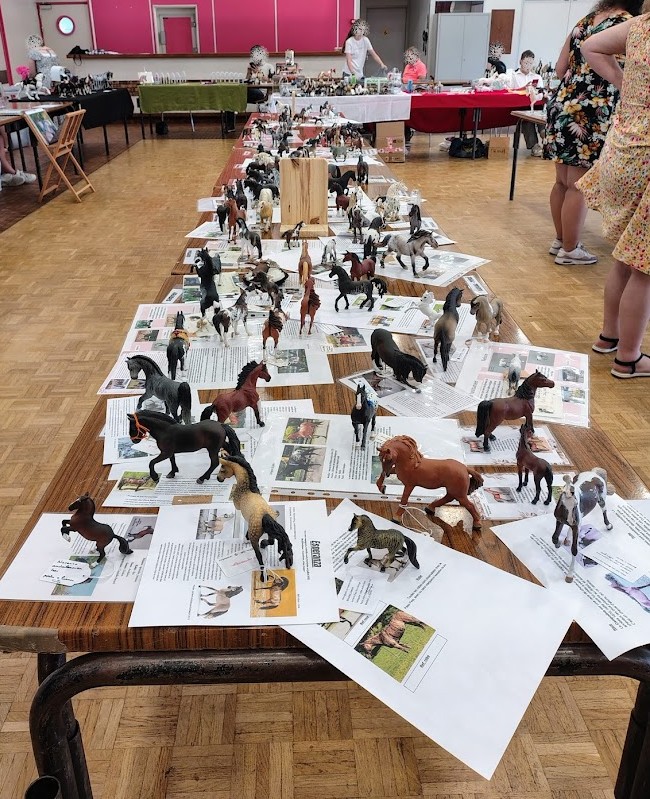 table de catégorie lors d'un liveshow de modélisme équin.