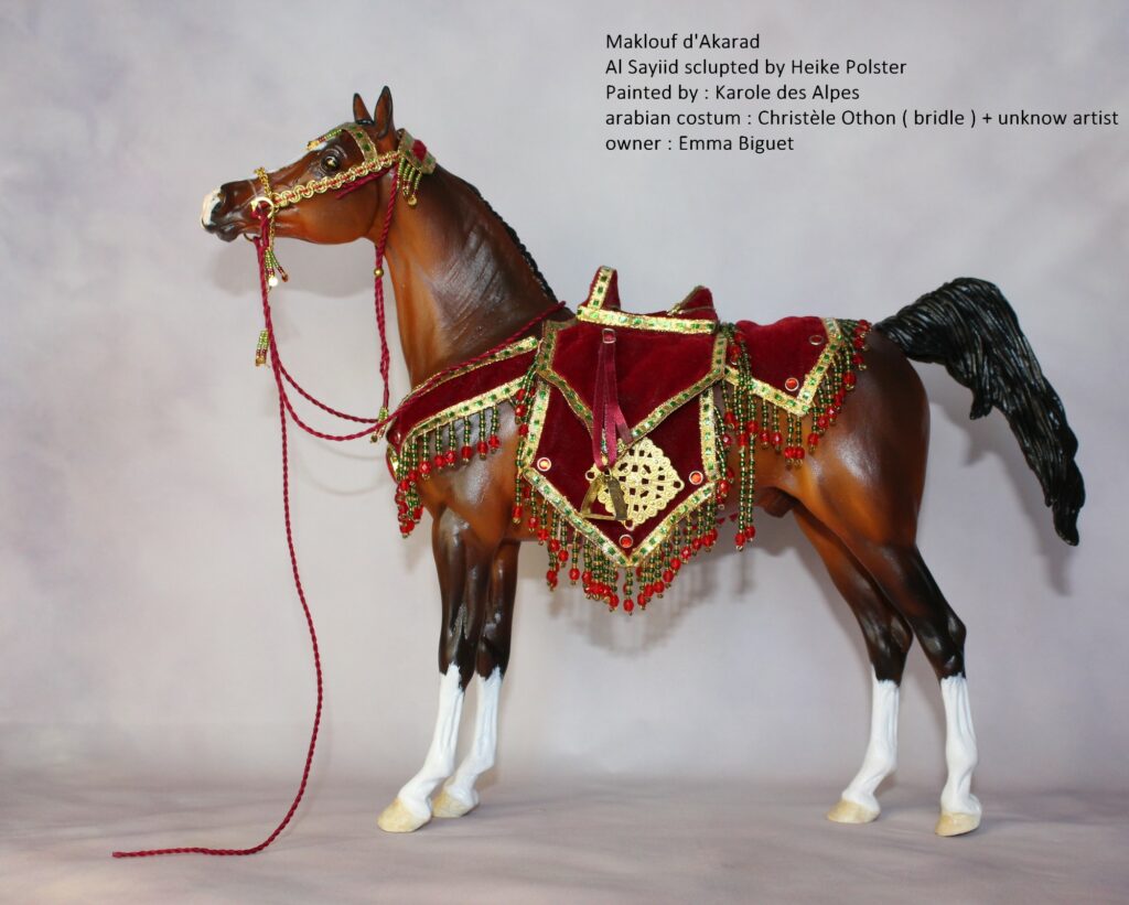 Epreuve de Costumes pour un Photoshow de Modélisme Equin