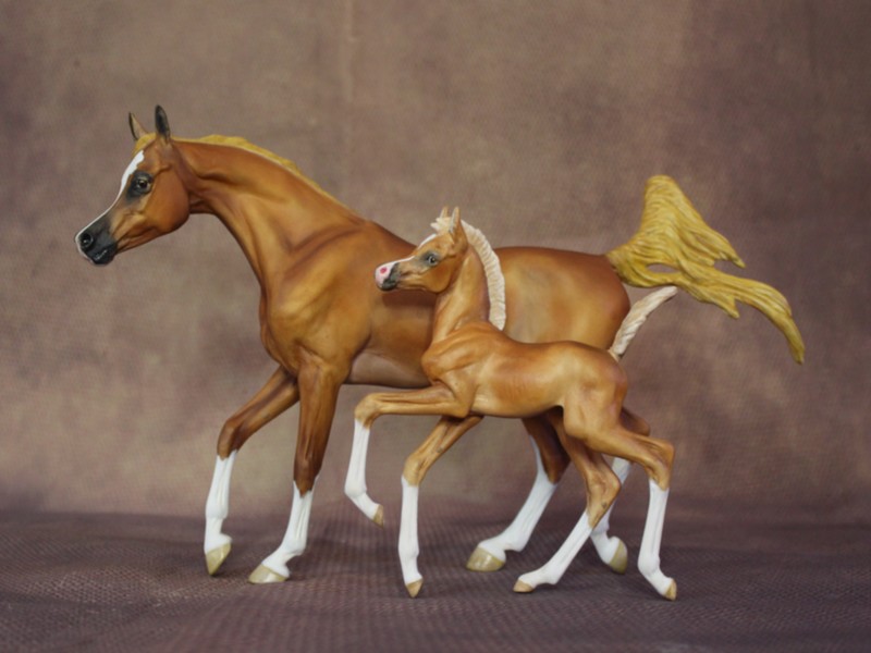 Modèle alezan nuancé aux pastels