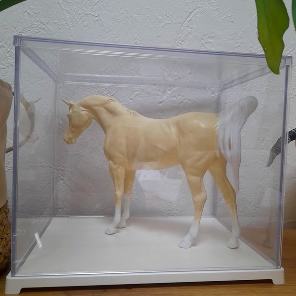 box de protection lors du sechage