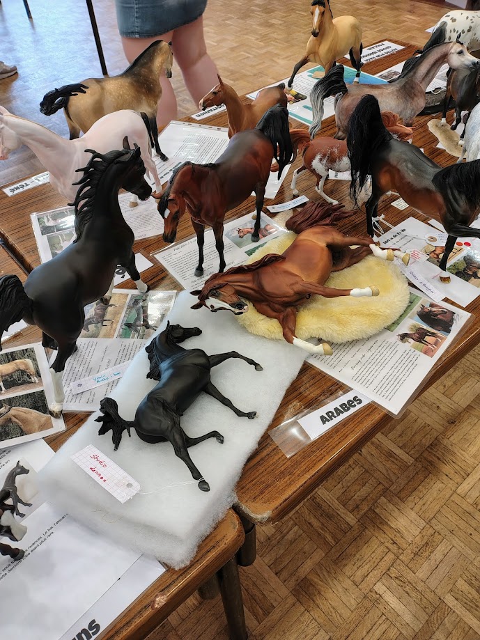 catégorie léger arabes