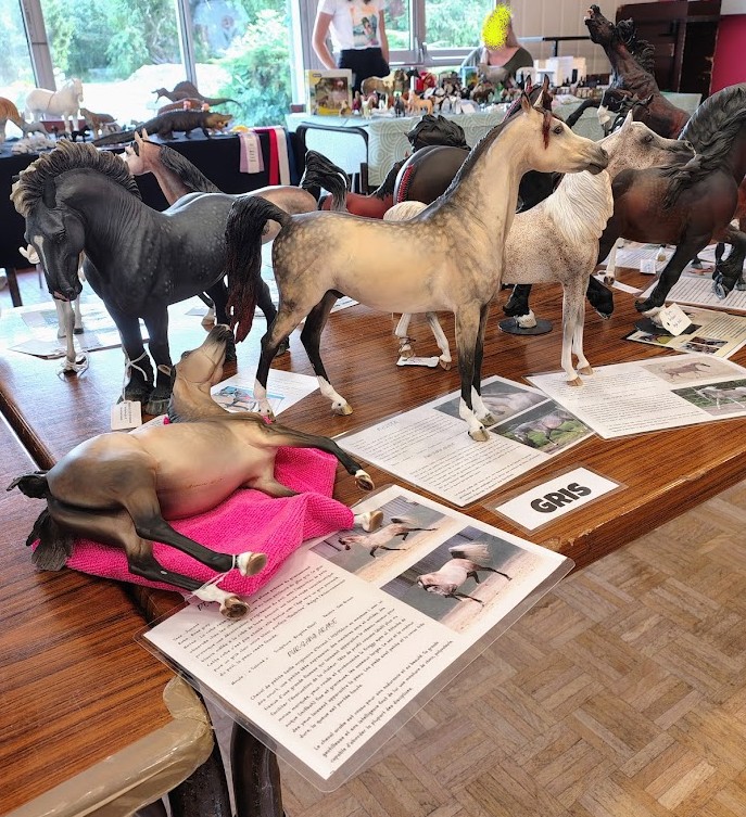 fiches de référence lors d'un liveshow de modélisme équin.