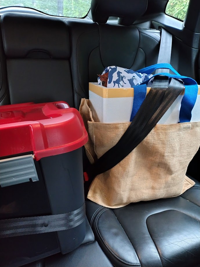 EN Route pour le Liveshow !