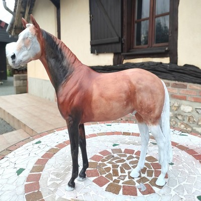 Travail aux huiles d'une robe en Modélisme Equin.