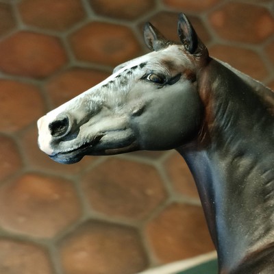 Détails aux huiles sur une résine d'artiste.