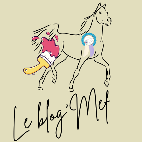 Blog Modélisme Équin France