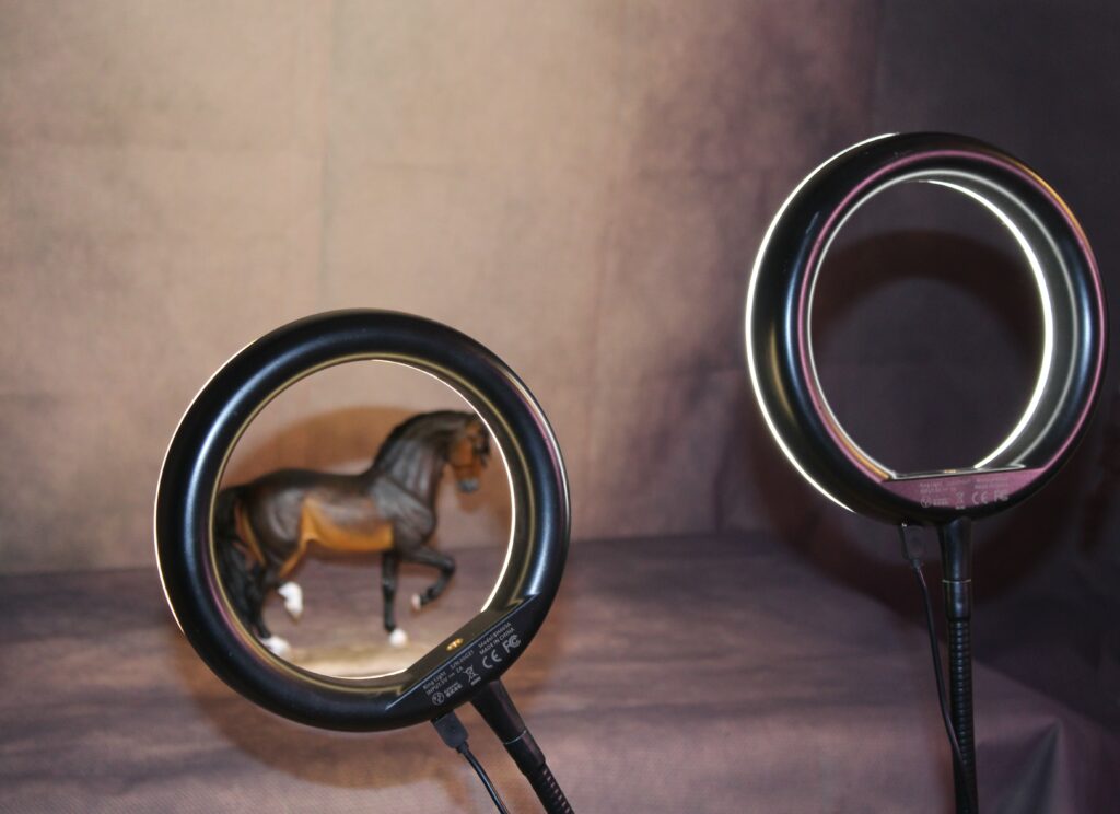 Set up photoshow Modélisme Équin