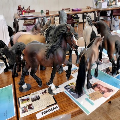 Race traits France Liveshow modélisme équin