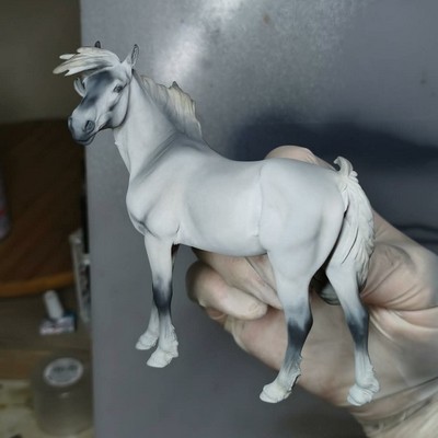 Robe de base Sabino Grullo avant la peinture du sabino