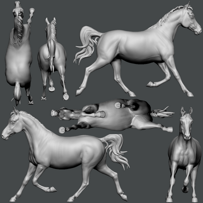 Modellisation cheval Studio Beexbee