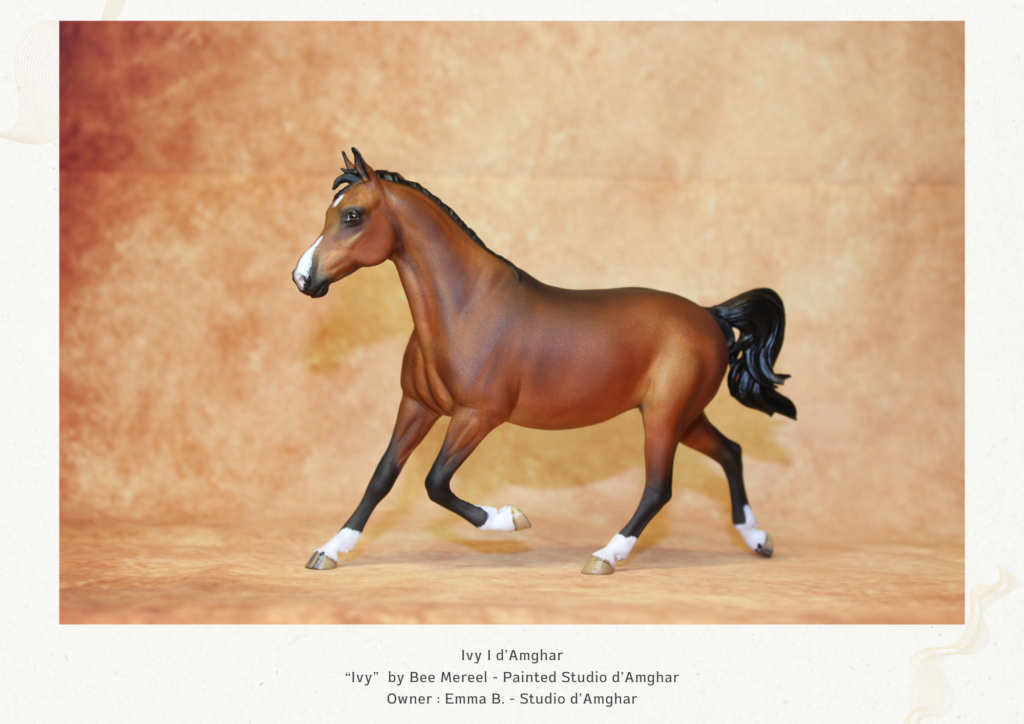 Exemple de présentation pour un photoshow