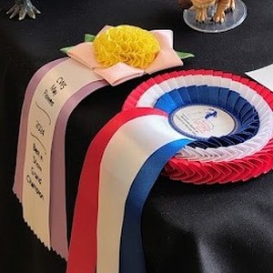 Miniature Liveshow Modélisme Equin