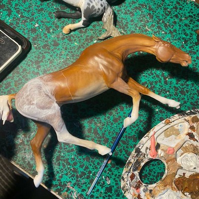 démarrage effet poil sur robe sabino