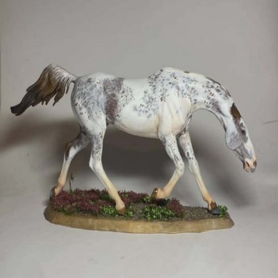 Spectatulaire robe alezan sabino extreme