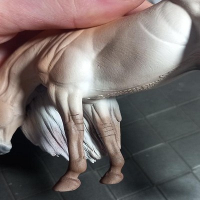 Zébrures sur les membres d'un custom