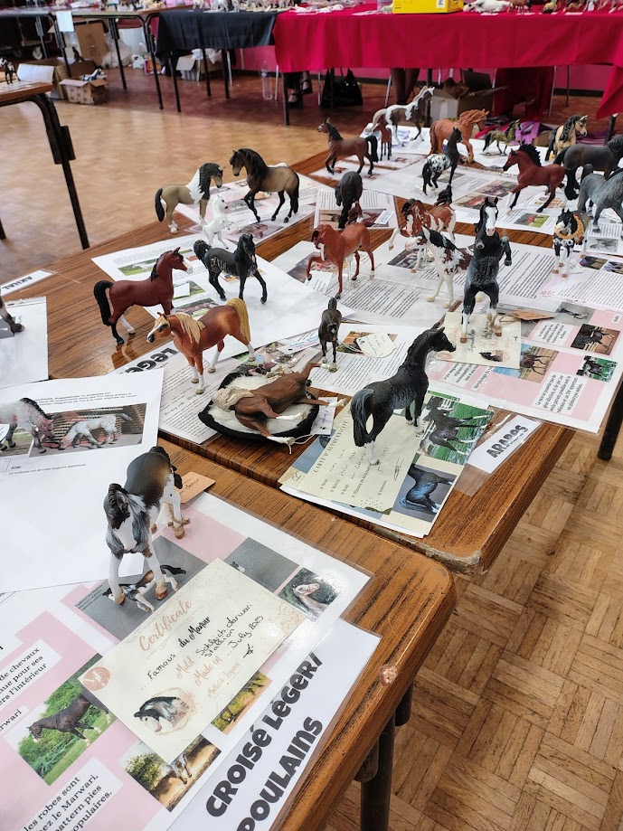 Une table lors d'un liveshow modélisme équin