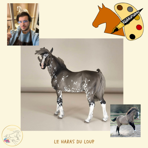 NaMoPaimo 2026 - artiste français : Le Haras du Loup