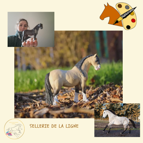 NaMoPaimo 2026 - artiste français : Sellerie de la Ligne