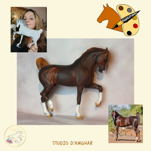 NaMoPaimo 2026 - artiste français : Emma B. - Studio d'Amghar