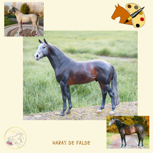 NaMoPaimo 2026 - artiste français : Laurence Cassin - Haras de Falde.