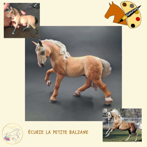 NaMoPaimo 2026 - artiste français : La Petite Balzane