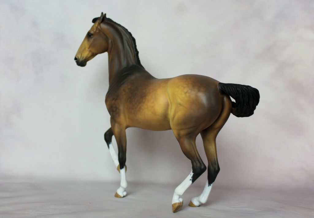 Marwari division Light modelisme équin