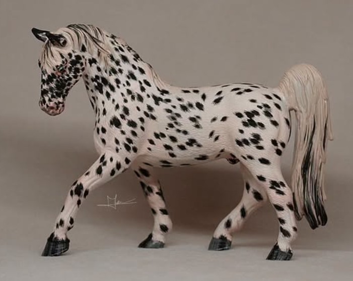 Pattern Appaloosa Leopard 