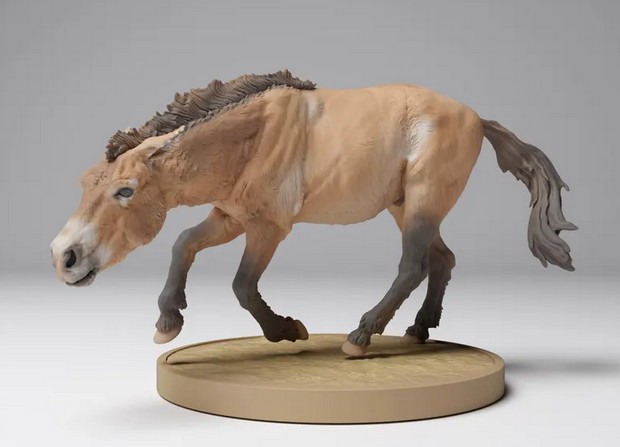 primitive modélisme équin