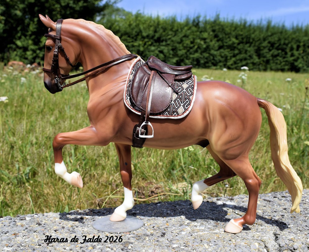 Haras de Falde 2026